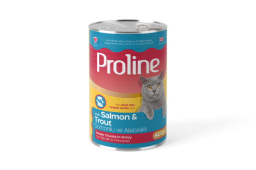 PROLİNE KEDİ KONSERVESİ 400 GR SOMON BALIKLI SOSLU resmi