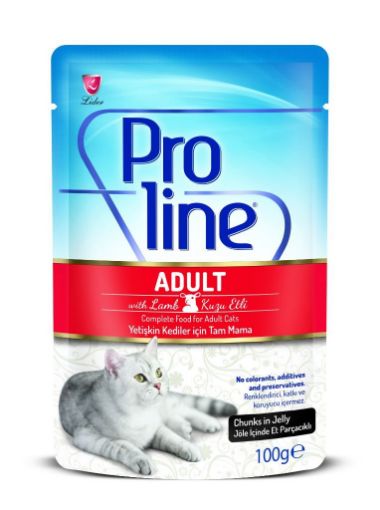 PROLINE POUCH KEDI 100 GR KUZU ETLI JOLE*20 PRK102 resmi