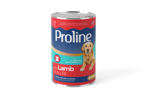 PROLINE KOP. KONS. 400 GR KUZULU SOSLU*12 PRK202 resmi