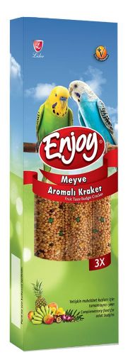 ENJOY KUS KRAKER 81 GR MEYVELI *10 ENJKRK02 resmi