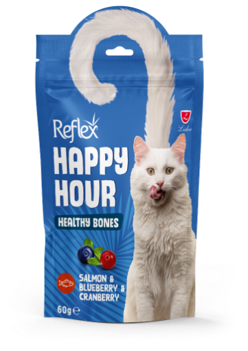 REFLEX KEDI ODUL 60GR HAPPY HEALTY BONES *RFT047 resmi